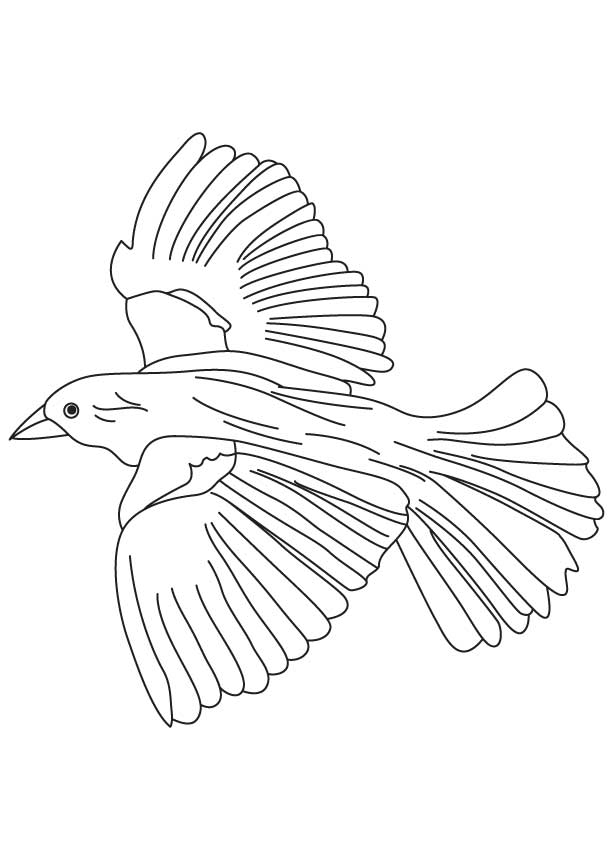 Flying Bird Coloring Pages - Coloring Home