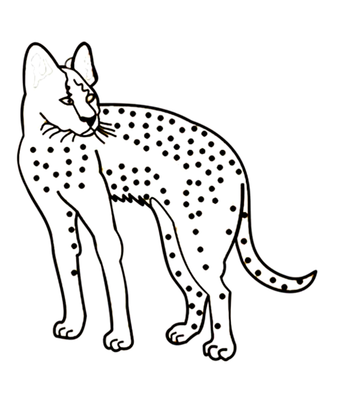 cheetah running Colouring Pages (page 2)