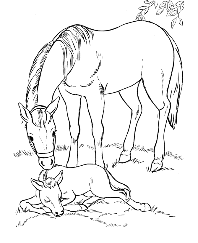 Horse Coloring Page of Mare and Foal
