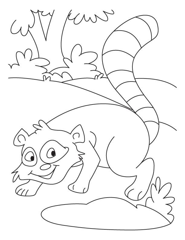 whistling raccoon coloring pages | Download Free whistling raccoon 