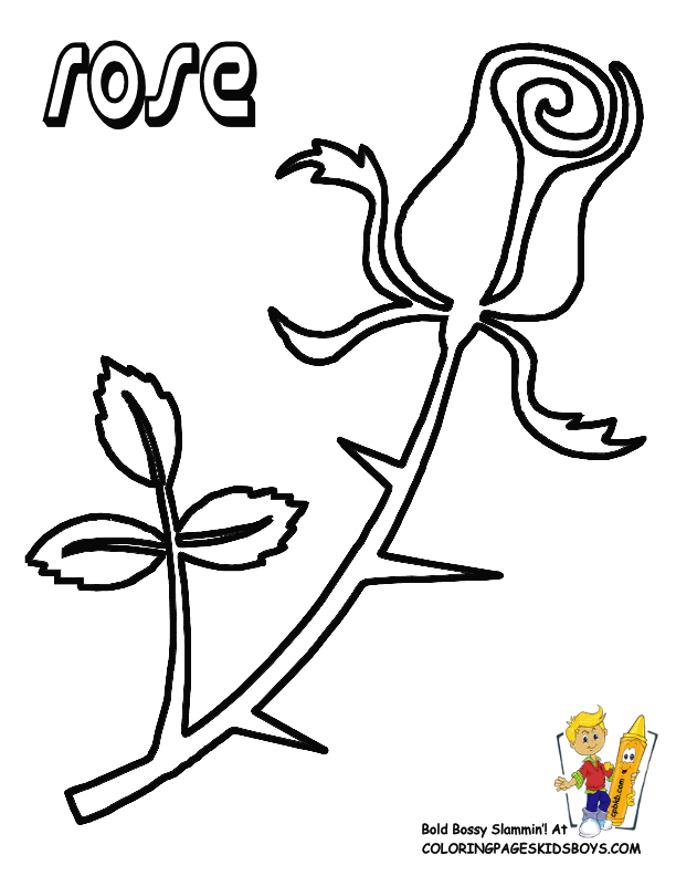 rose flowers Colouring Pages