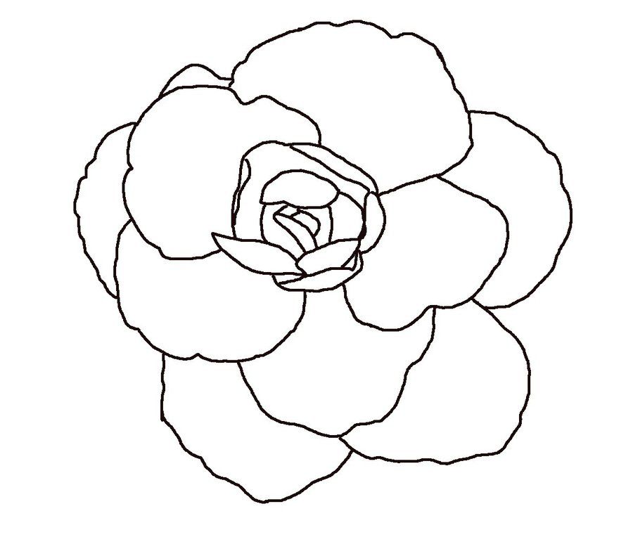 Line Drawing Flower | NewTattooDesigns