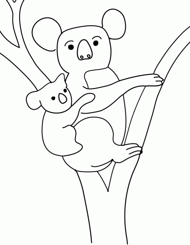 baby emperor penguin coloring pages - photo #15