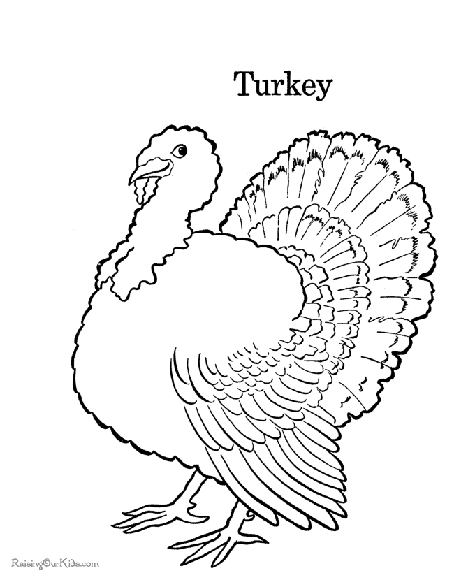 Turkey Coloring Book Pages - Coloring Home