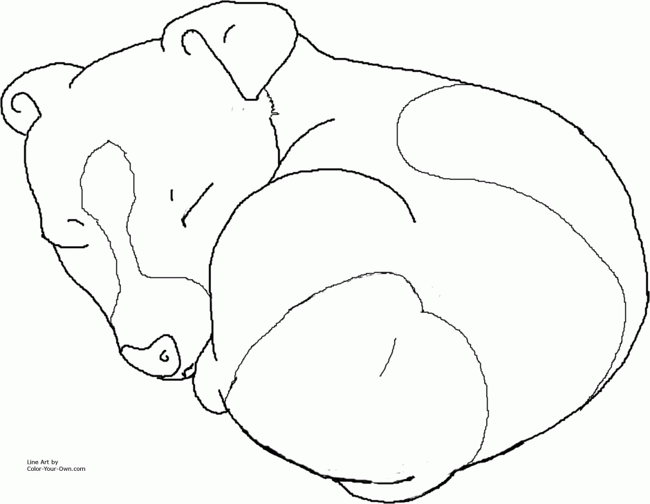 Puppies Coloring Pages Black And White Chubby Siberian Husky 