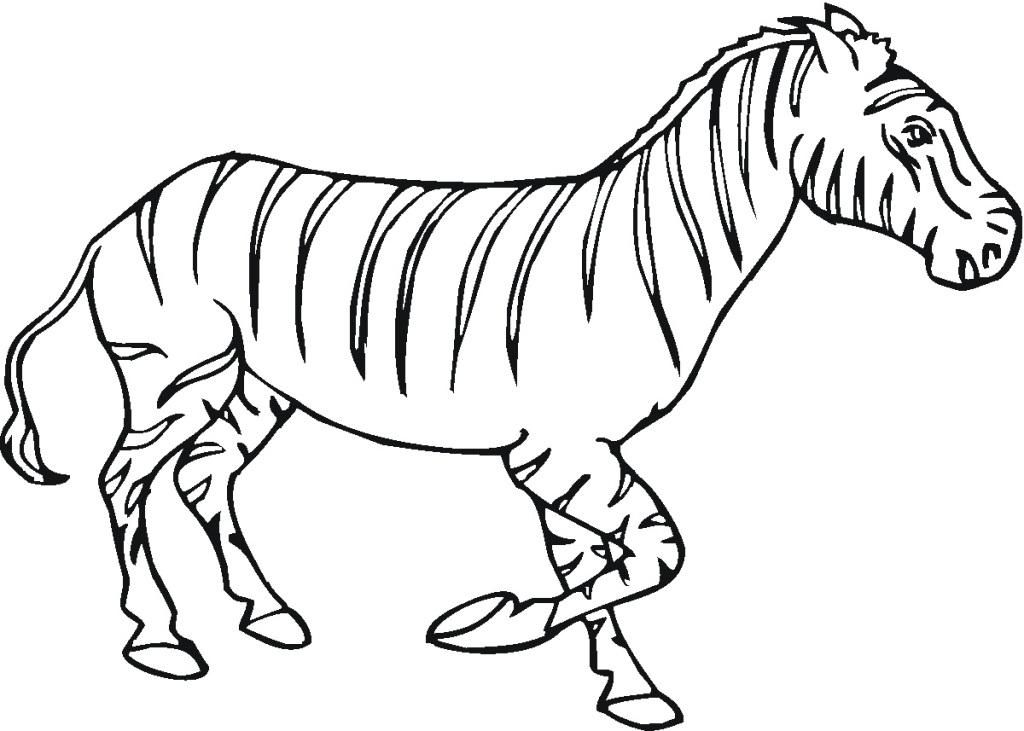 Zebra Coloring Pages For Kids - Coloring Home