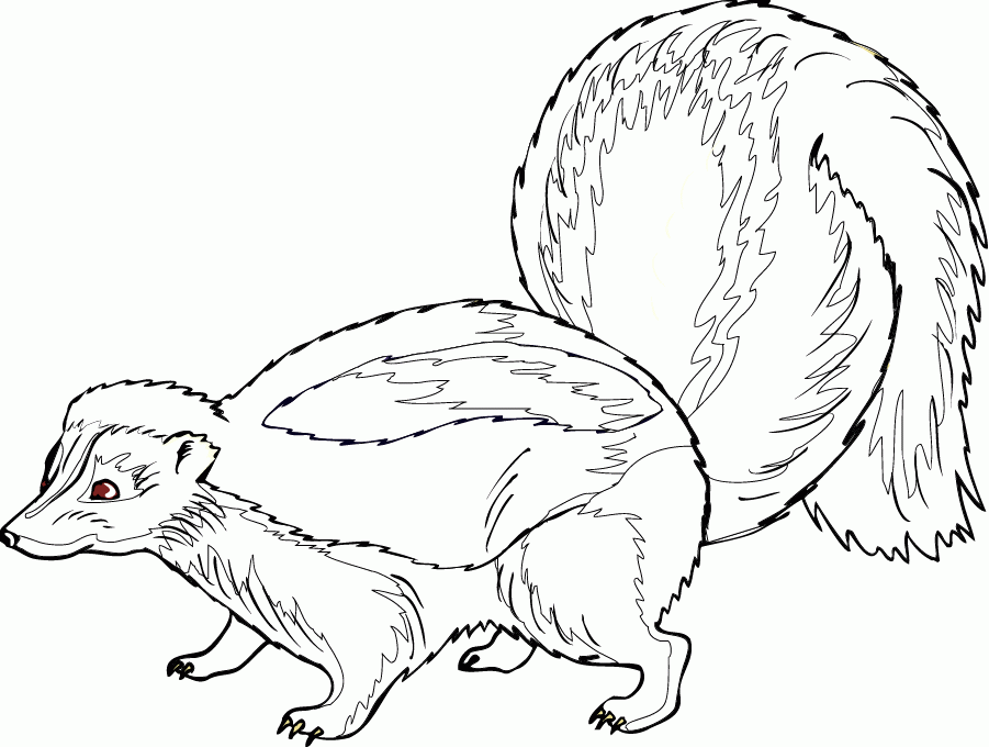Skunk Coloring Pages - Coloring For KidsColoring For Kids