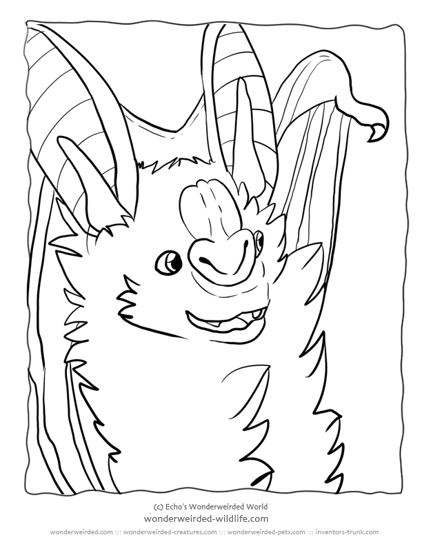 Vampire Bat Coloring Pages Home False Pictures Realistic Animal Bats