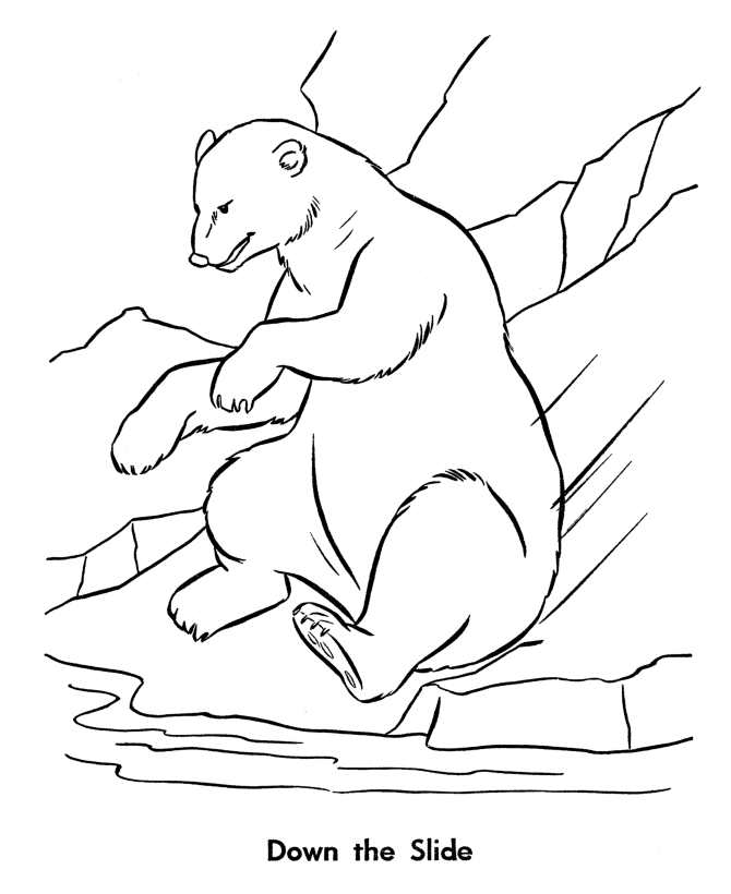 Zoo Animal Coloring Pages | Zoo Bears have fun Coloring Page and 