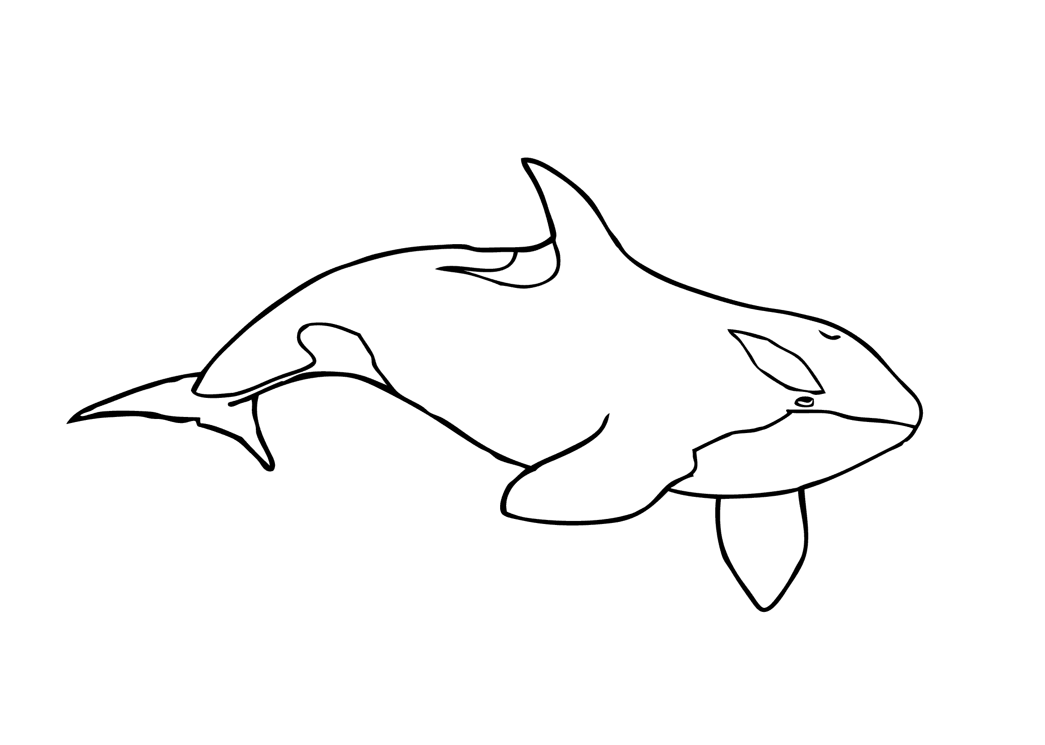 Orca Whale Coloring Page Coloring Home