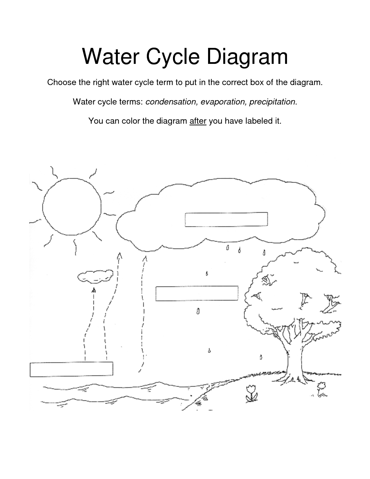 Free Water Cycle Coloring Worksheet Water Cycle Coloring Page ...