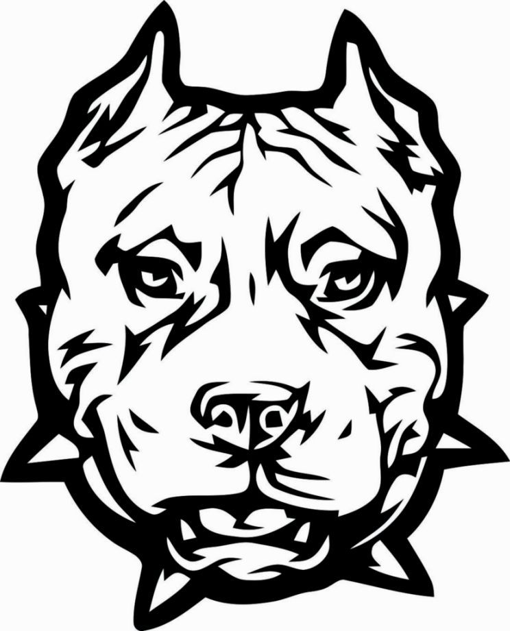 Pitbull Coloring Pages Printable - Coloring Home