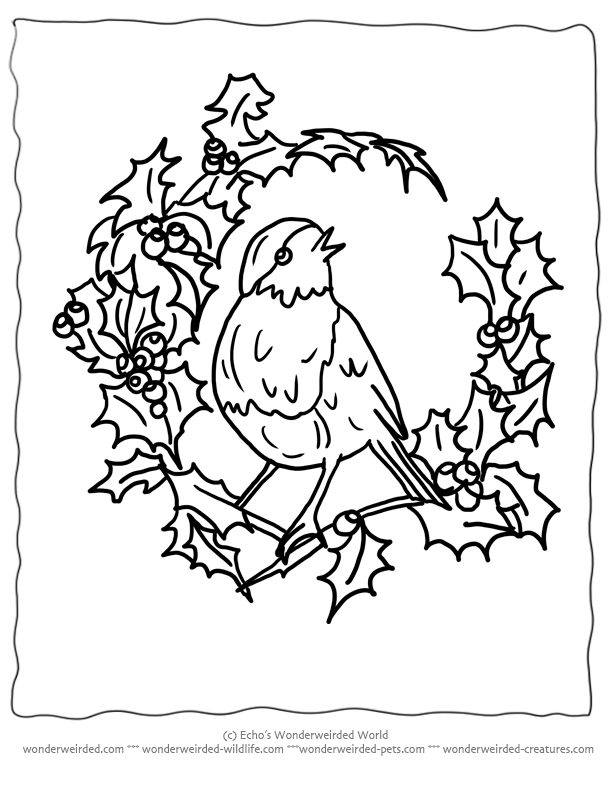 Birds Coloring Pages Christmas - Coloring Pages For All Ages