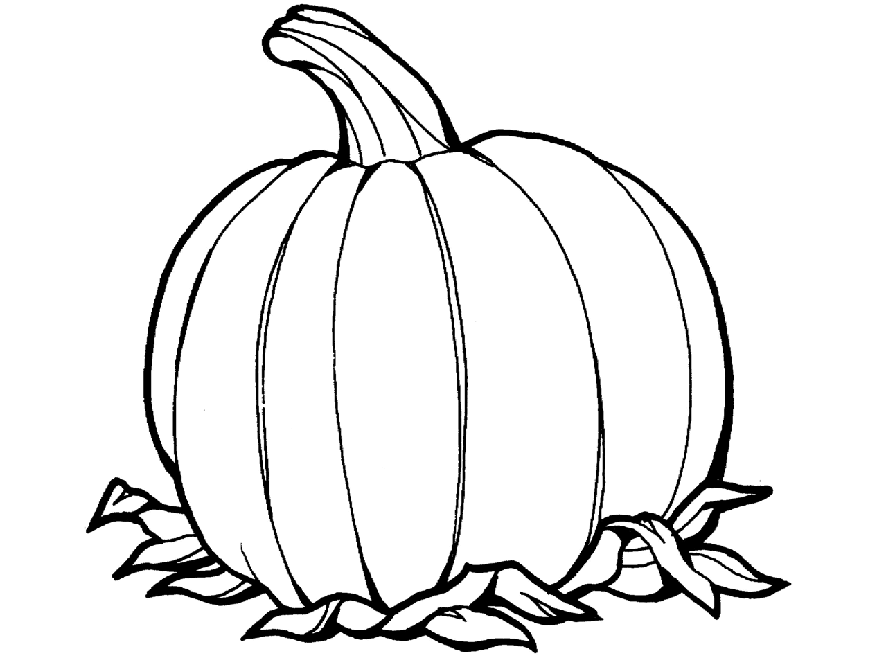 27 Printable Coloring Pages for Kids for: Vegetable Coloring ...