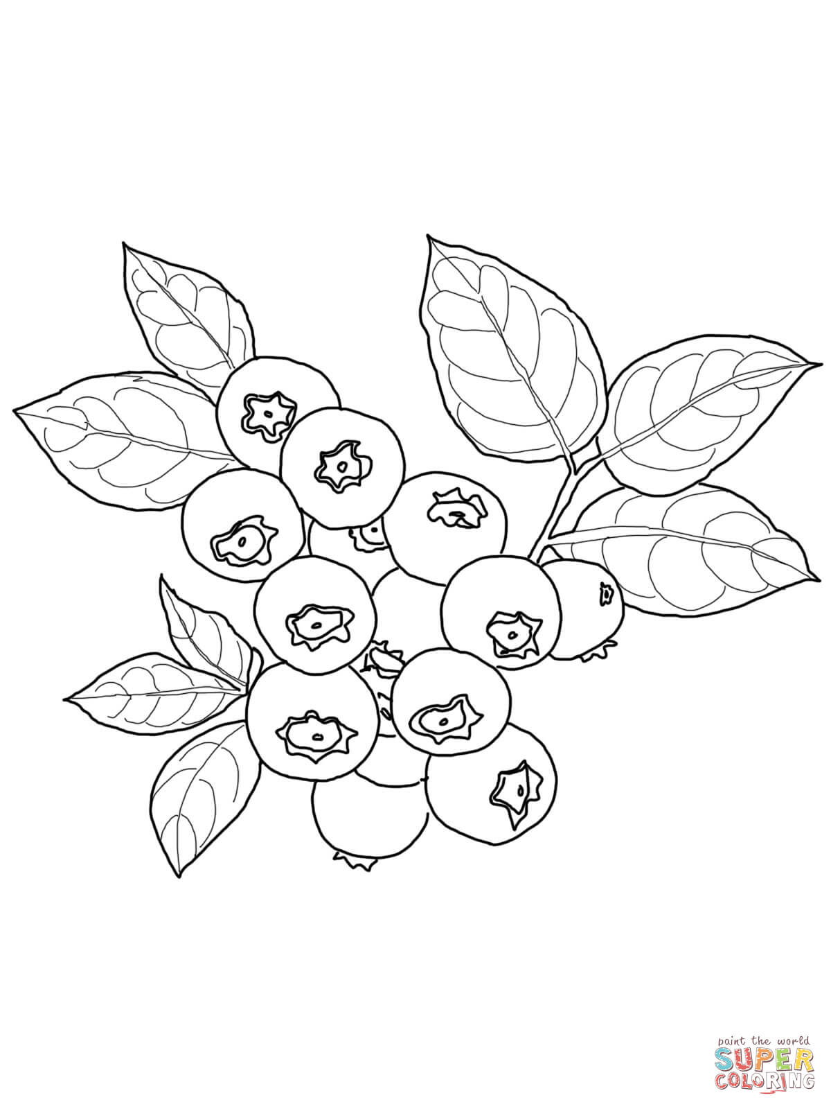 Blueberry coloring pages | Free Coloring Pages