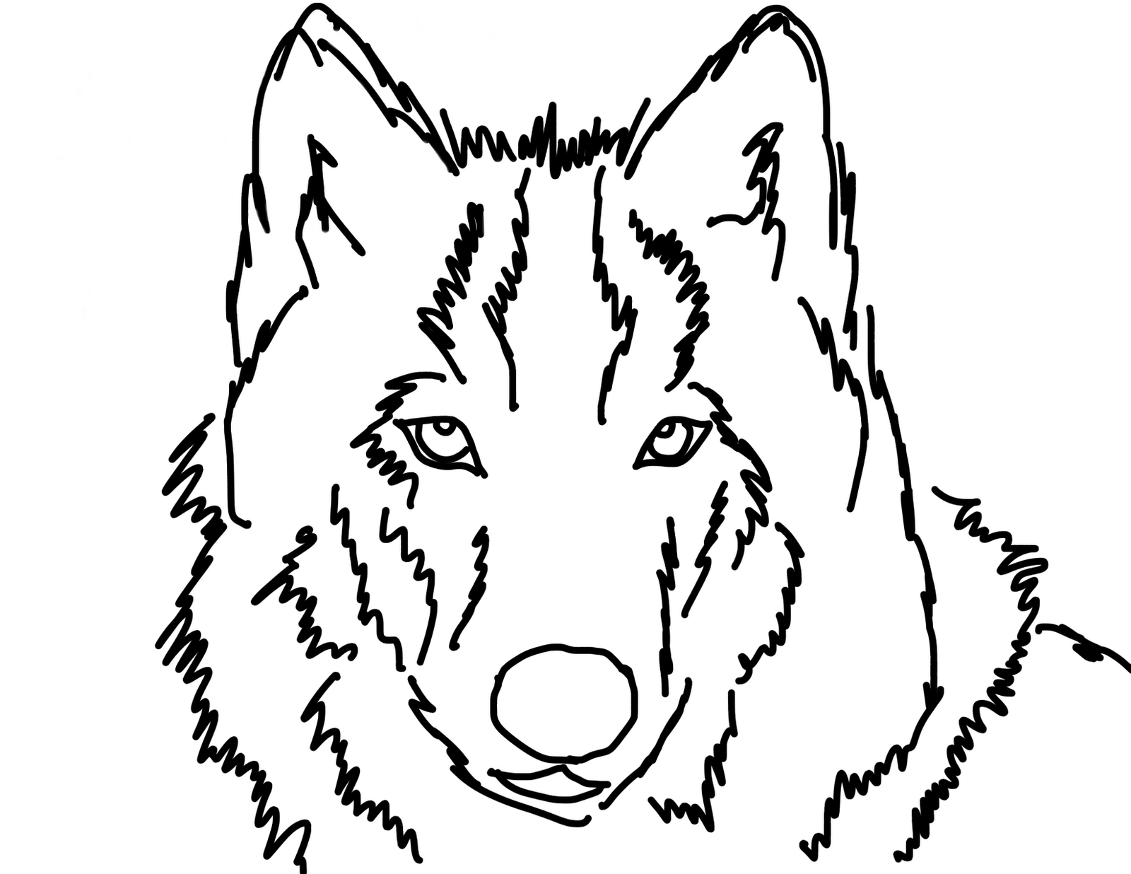 Wolf Face Outline