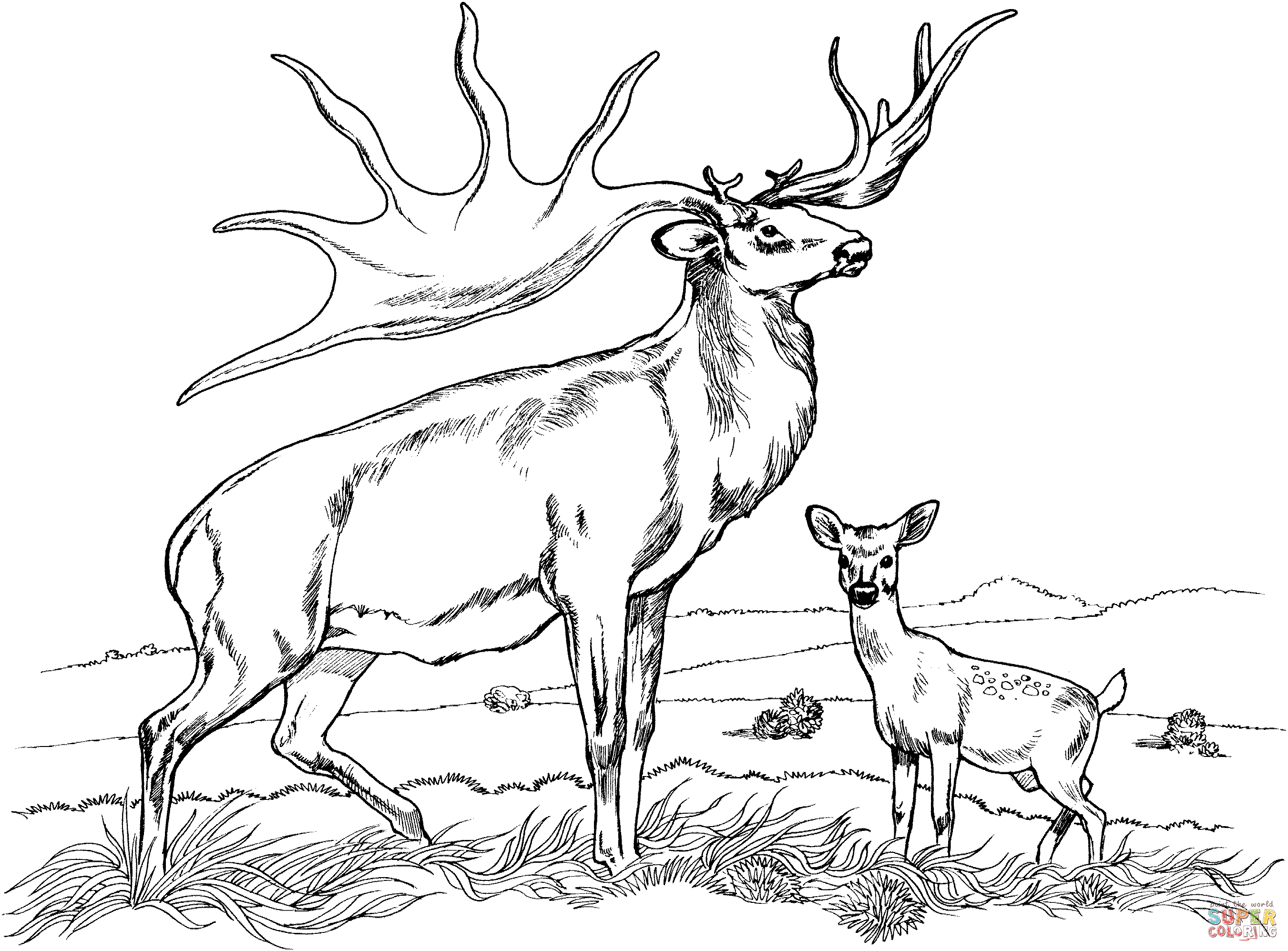 simple-elk-coloring-pages
