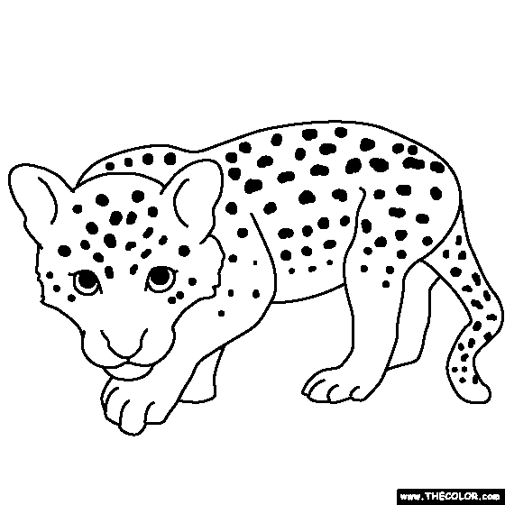 16 leopard coloring page | Print Color Craft