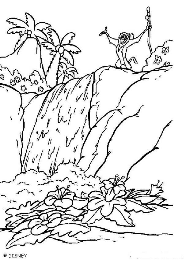 The Lion King coloring pages - Rafiki