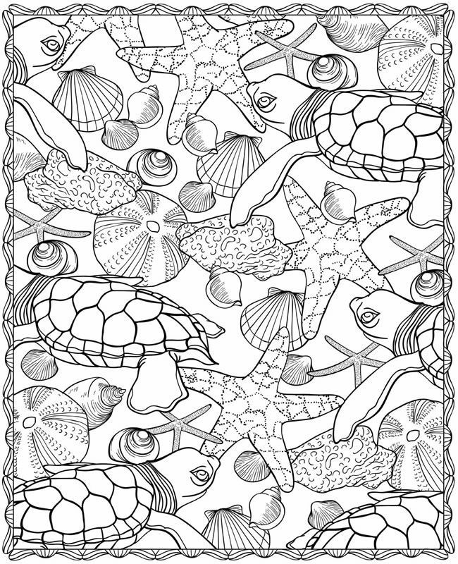 adult-coloring-pages-turtle-coloring-home