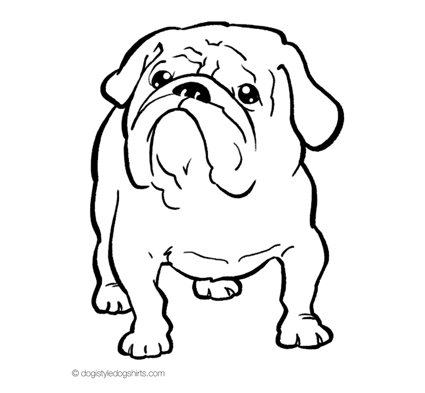 Bulldog Coloring Pictures Coloring Home