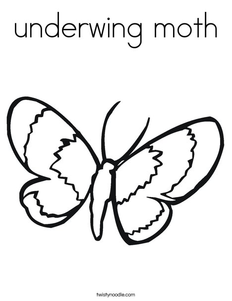 underwing moth Coloring Page - Twisty Noodle