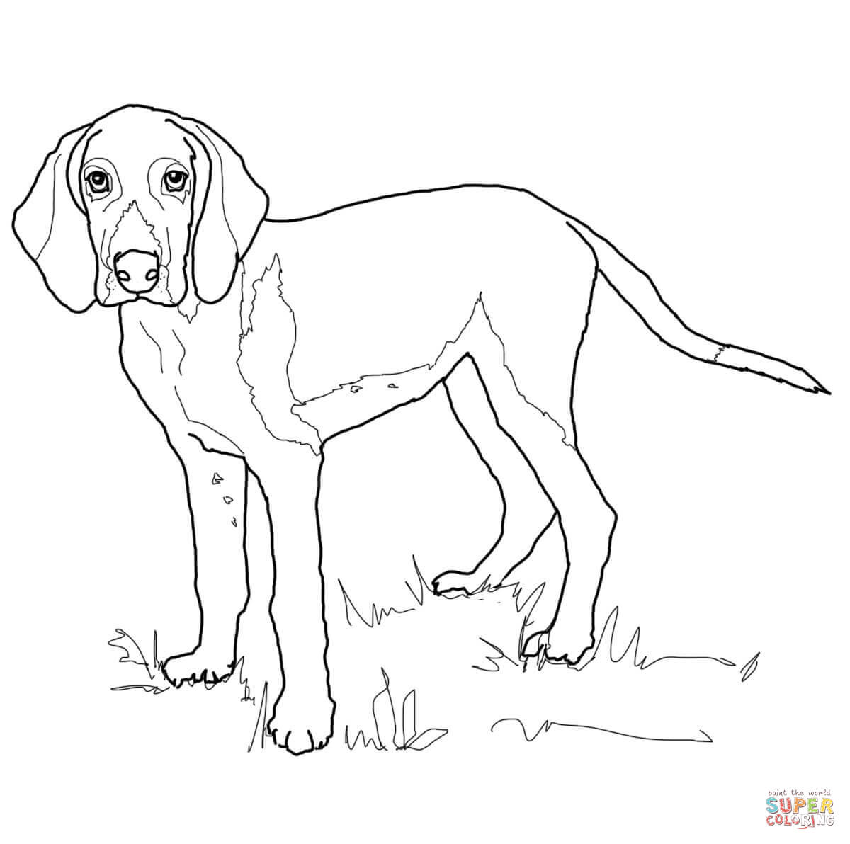 6 Pics of The Fox And Hound Coloring Pages - Fox and Hound ...