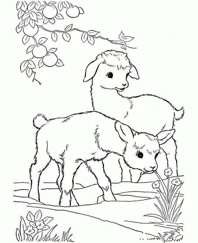 farm-animals-coloring-pages-for-kids-printable-coloring-home