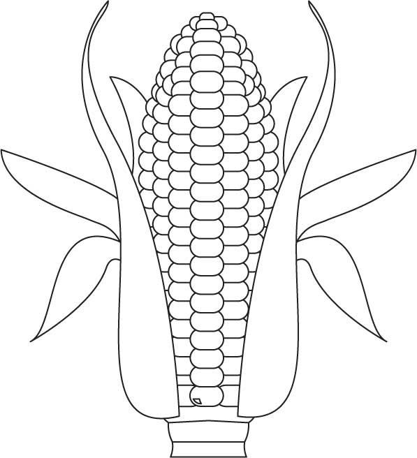 Corn Coloring Pages, Growing corn coloring page Download Free ...