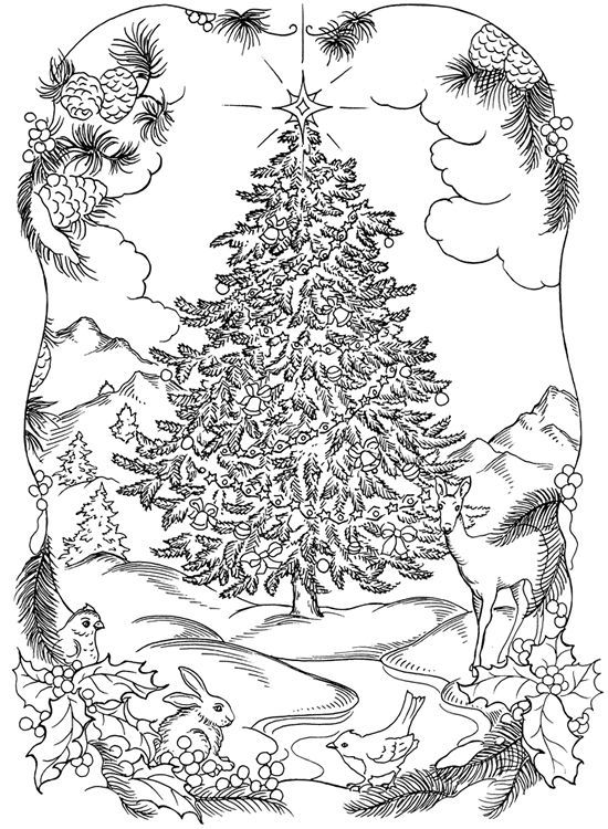 Christmas Coloring Pages For Adults To Print Free - Coloring Home