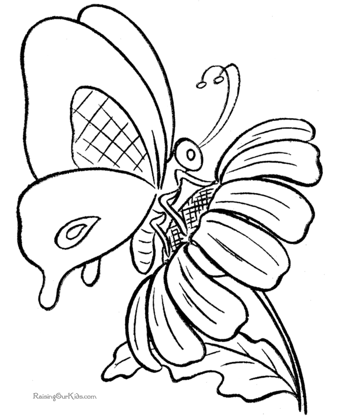 Butterfly Coloring Page 001