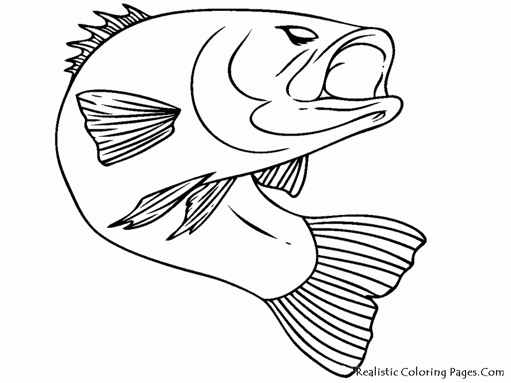 Fish Realistic Coloring Pages | Realistic Coloring Pages