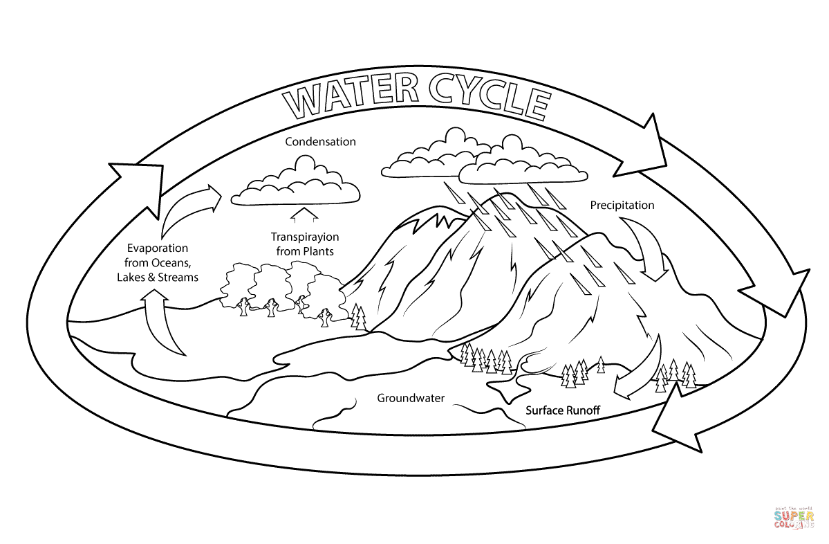 Water Cycle For Kids Coloring Page - Coloring Home