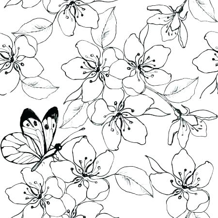 Japanese Cherry Blossom Coloring Pages at GetDrawings.com ...