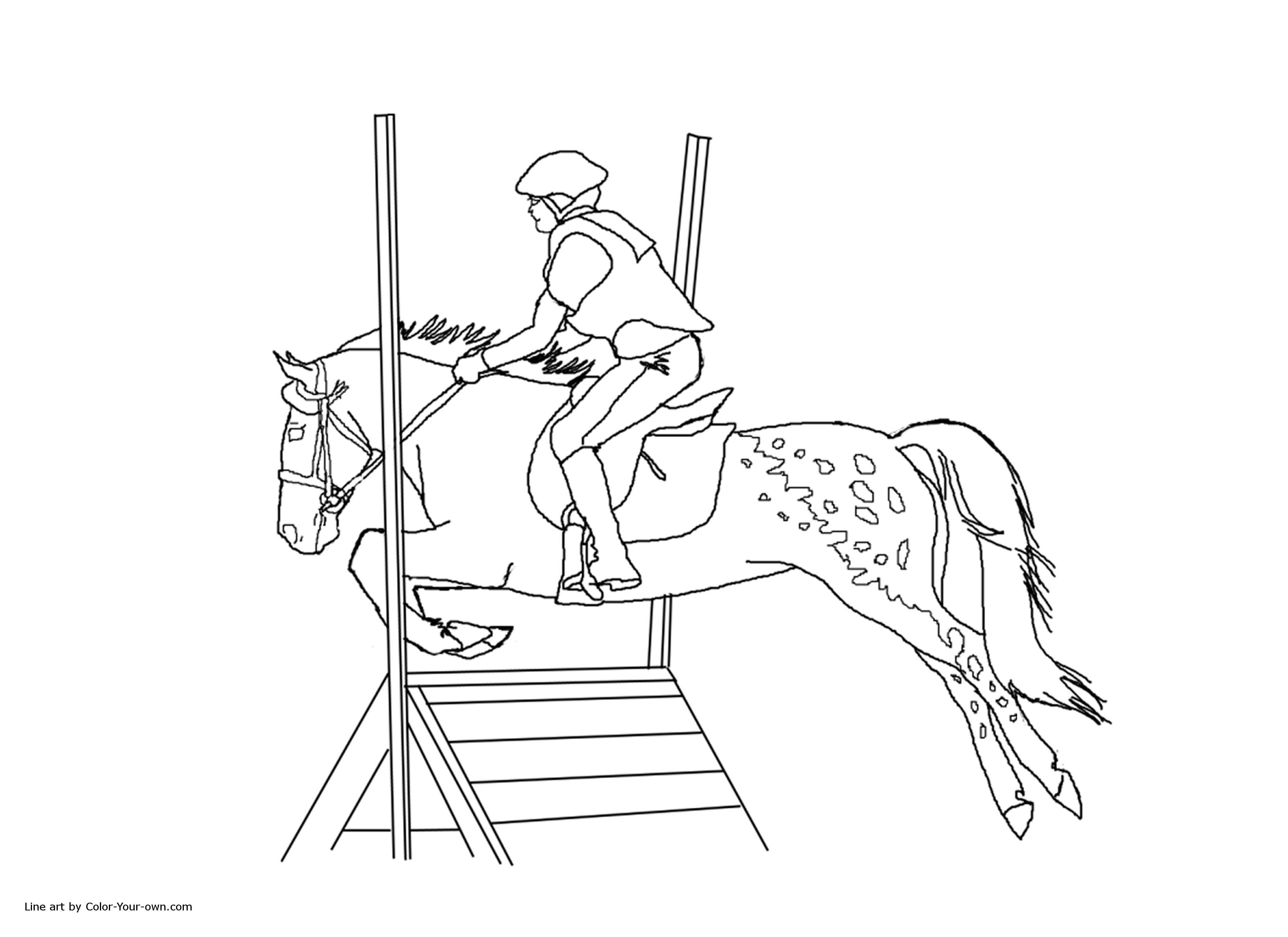 Horse Appy Cross Pony Jumping Coloring Pages Free Printable For ...