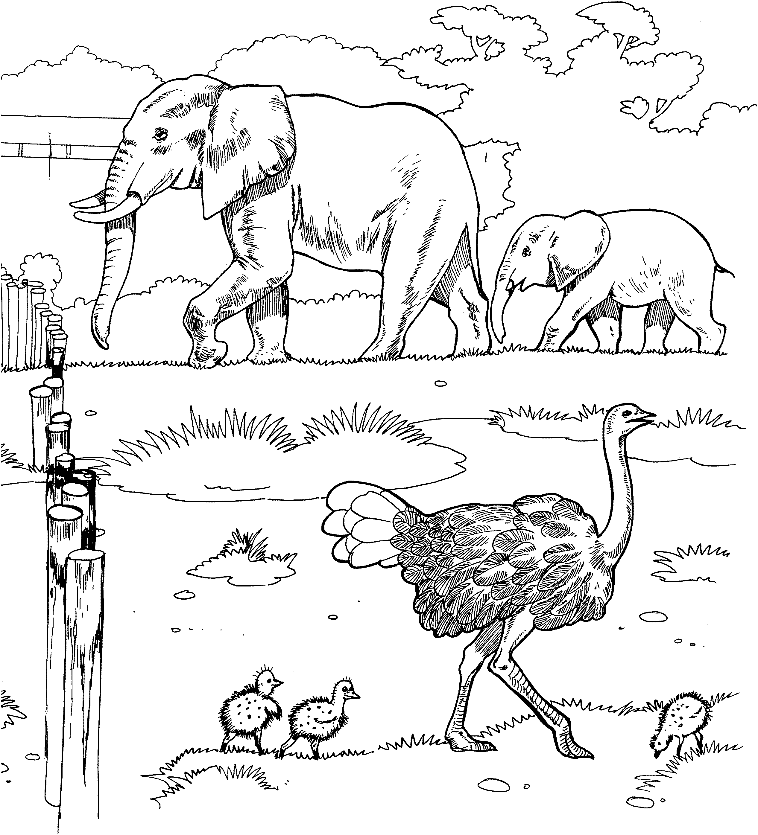 African Safari Animals Coloring Pages - Coloring Pages For All Ages