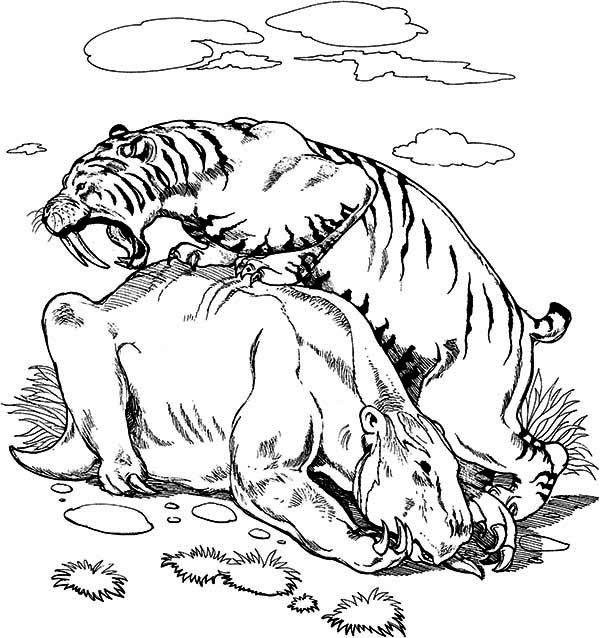 saber tooth coloring pages - photo #12