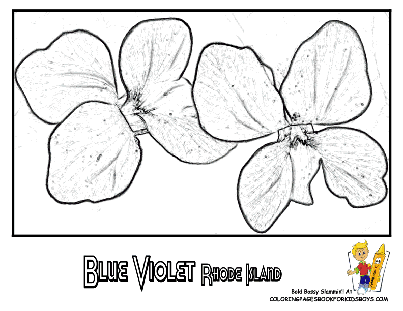 Blue Flower Coloring Page - Coloring Pages For All Ages
