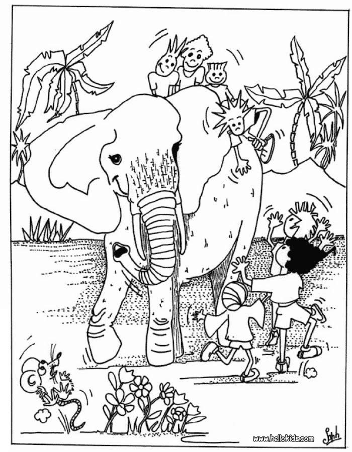 African Safari Animals Coloring Pages - Coloring Home