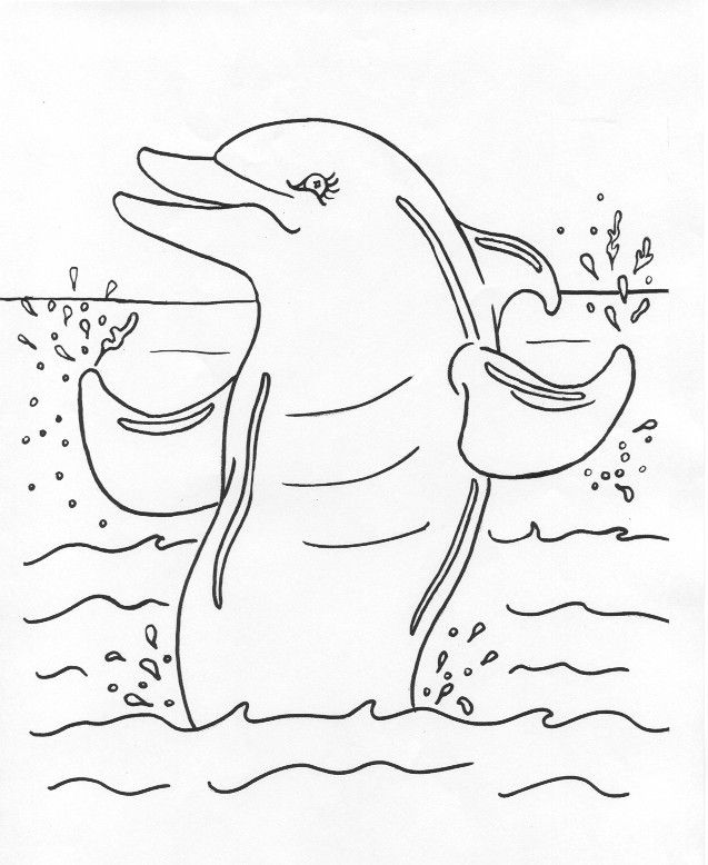 Dolphin Pictures To Colour In - Coloring Pages for Kids and for Adults