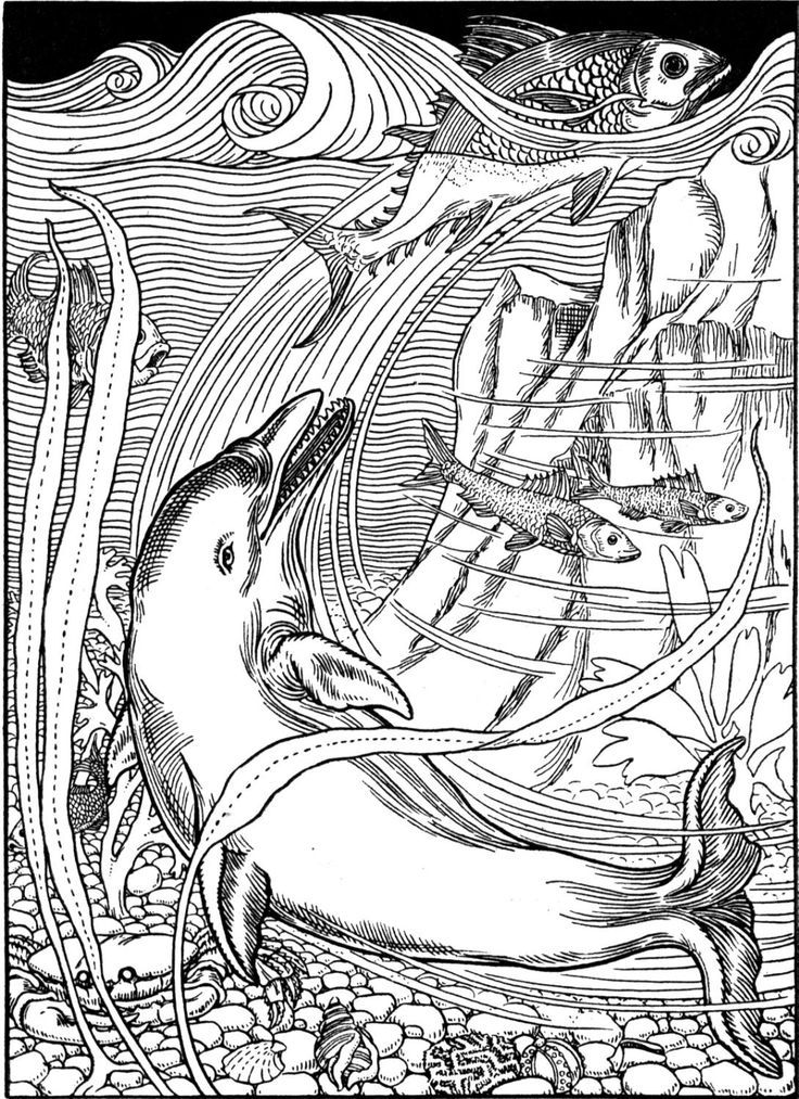 Adult Coloring Pages With Dolphins - Coloring Pages For All Ages