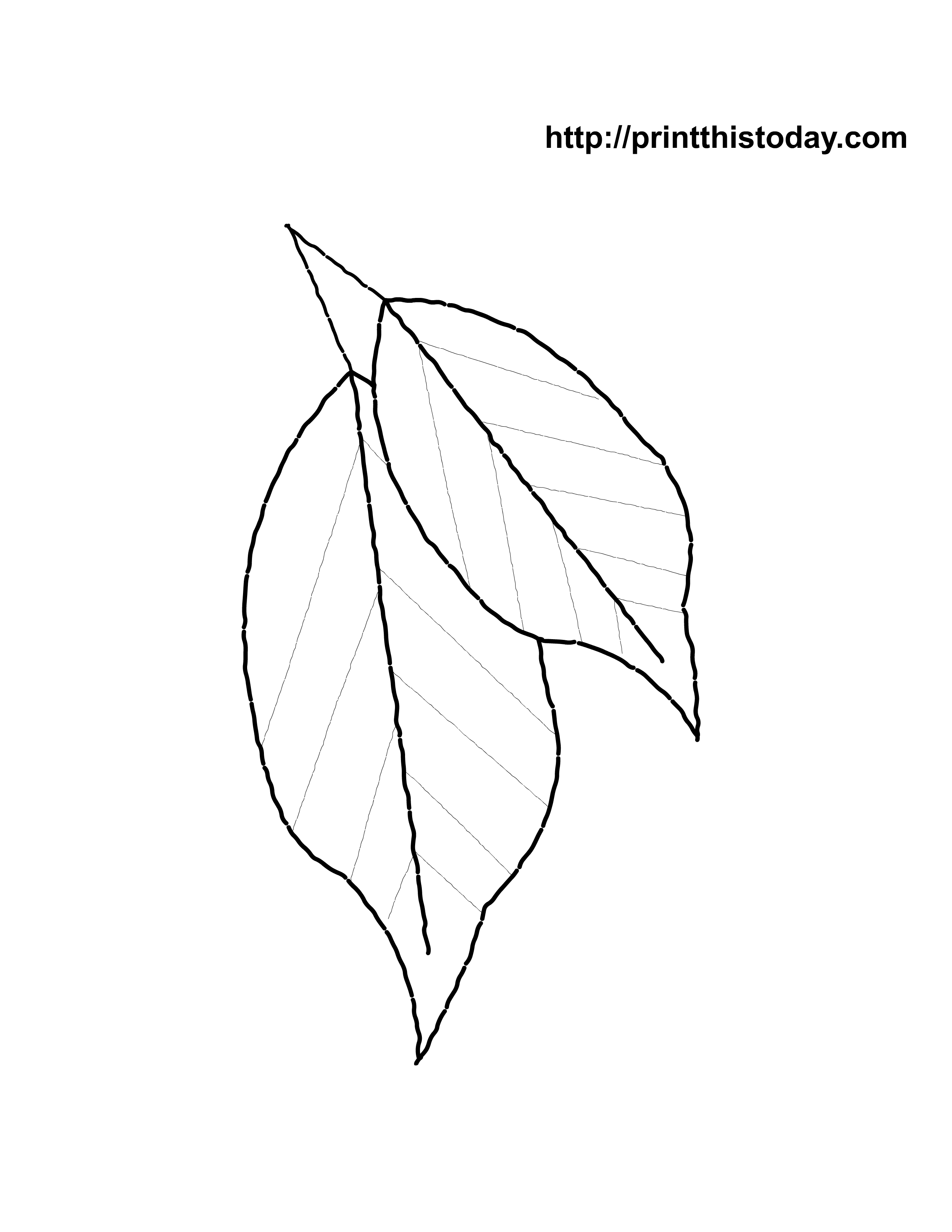 Palm Leaf Coloring Sheet Large Maple Leaf Coloring Page. Kids ...