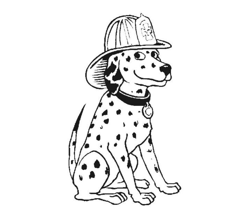 How to Color Dalmatian Sheets - Pipevine.co