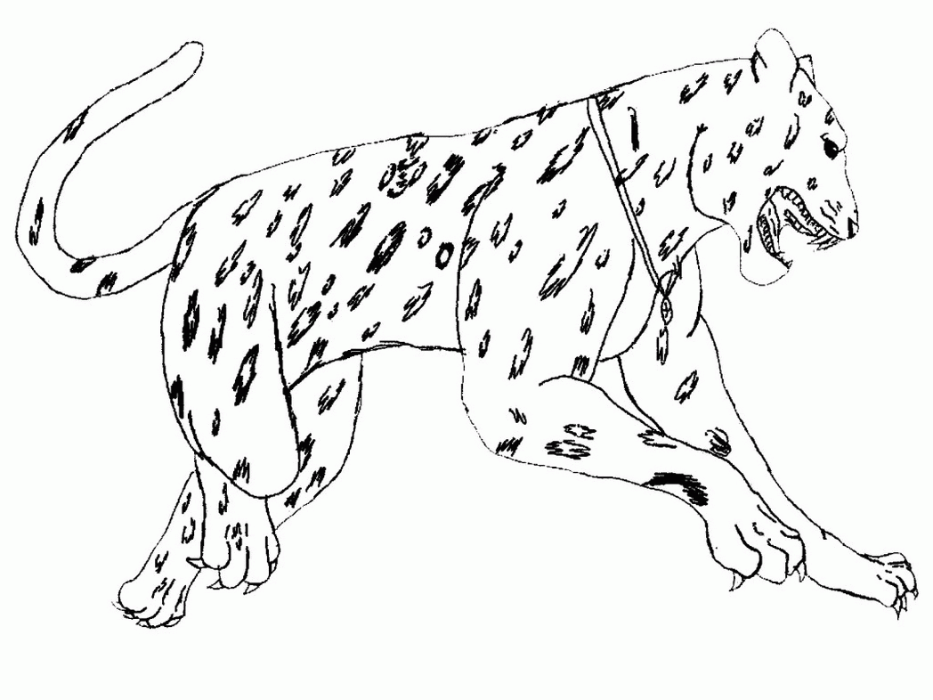 jaguar-animal-coloring-pages-realistic-530697 Â« Coloring Pages for ...