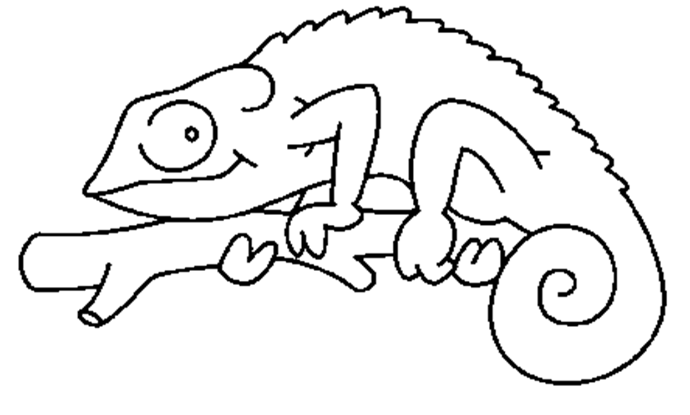 Chameleon Coloring Pages - GetColoringPages.com
