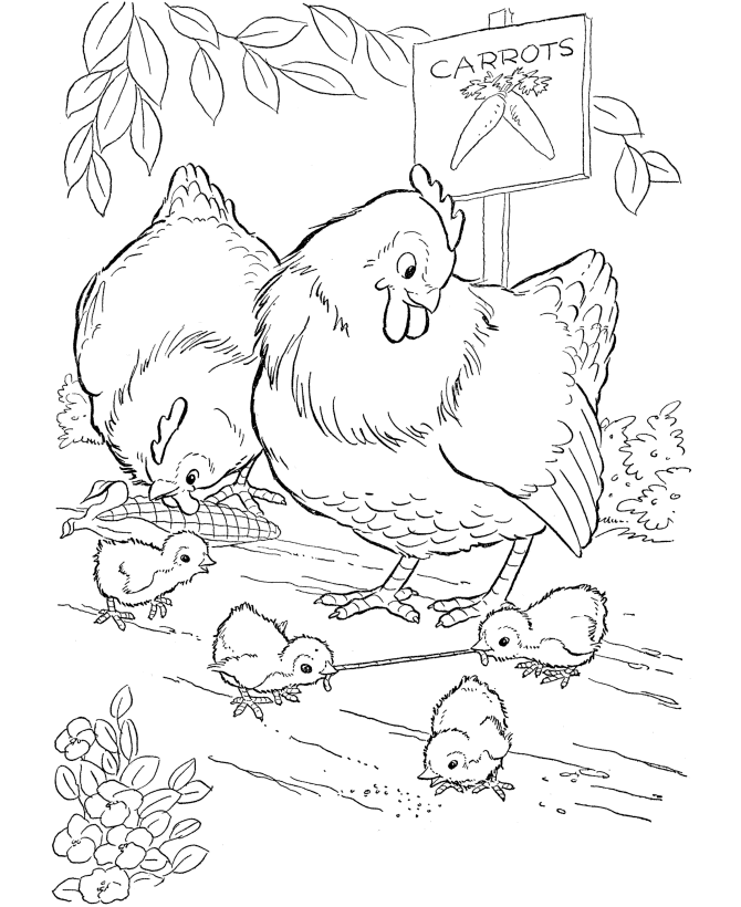 Farm Animal Coloring Pages | Printable Chickens Coloring ...