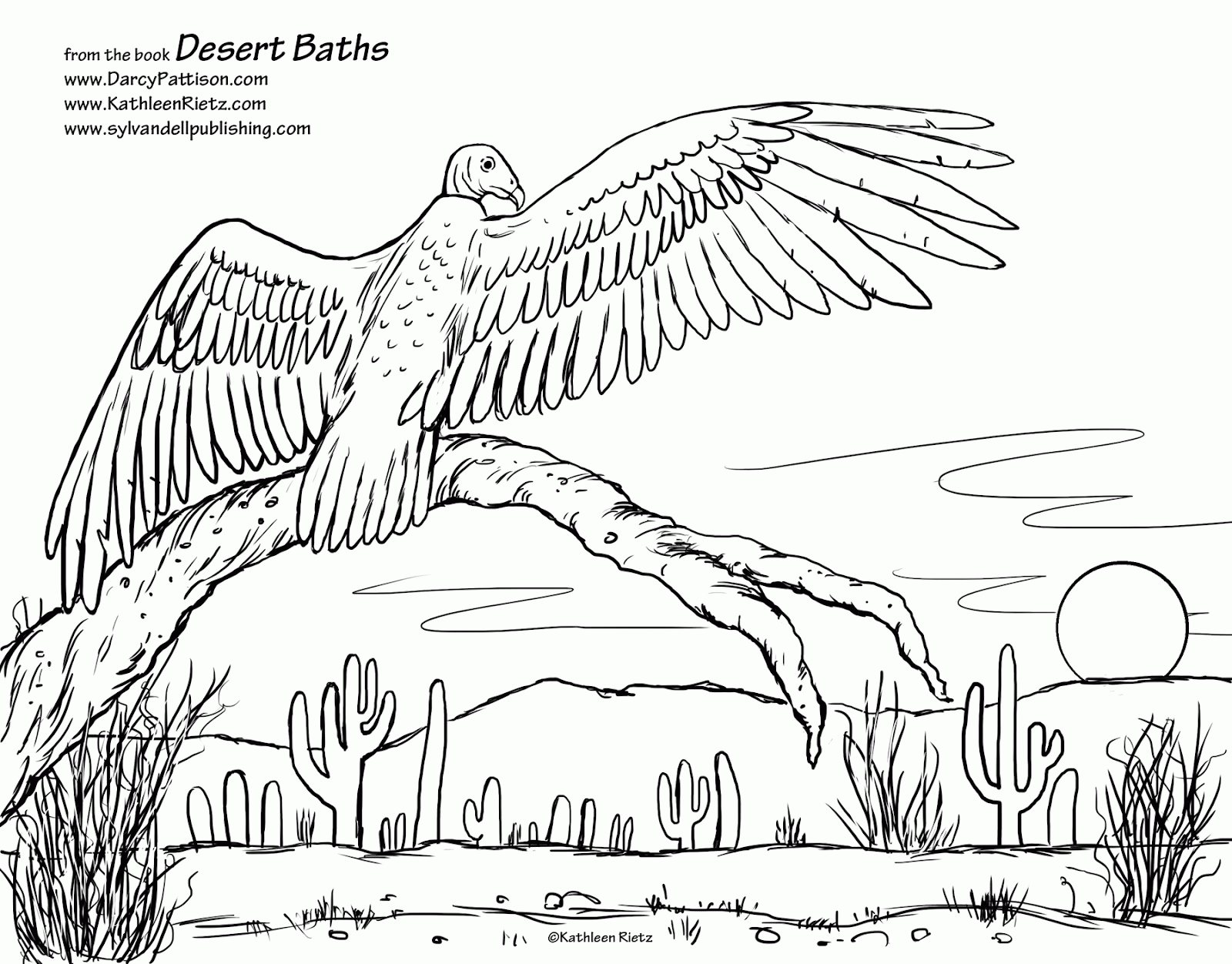 Sign Of The Beaver Coloring Pages – Papi Green