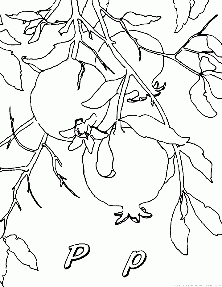 Pomegranate Coloring Pages - Part 2