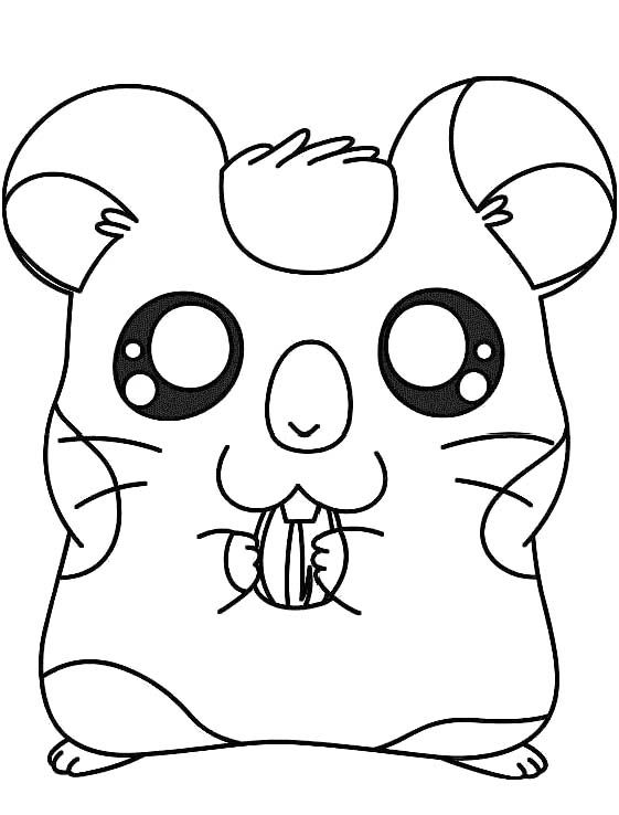 Cute Hamster Coloring Pages Coloring Home