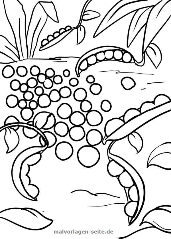 Coloring page peas Vegetables - free coloring pages